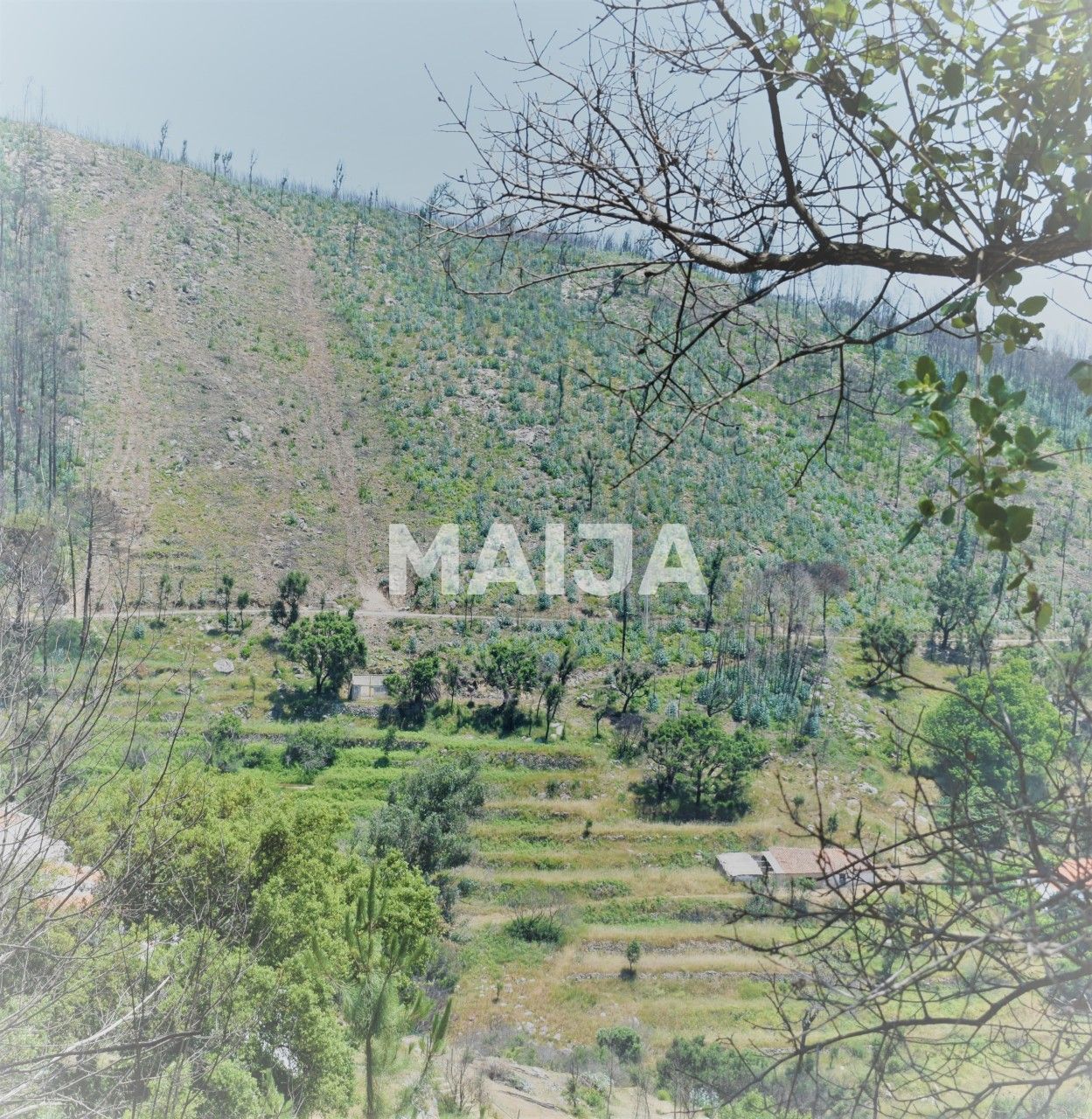 Земля Açor, Португалия, 16 440 м² - фото 2