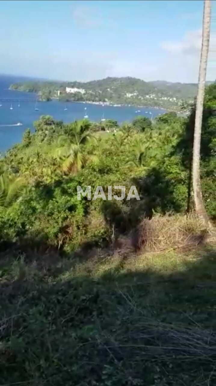 Земля в Самане, Доминиканская Республика, 7 993 м² - фото 3