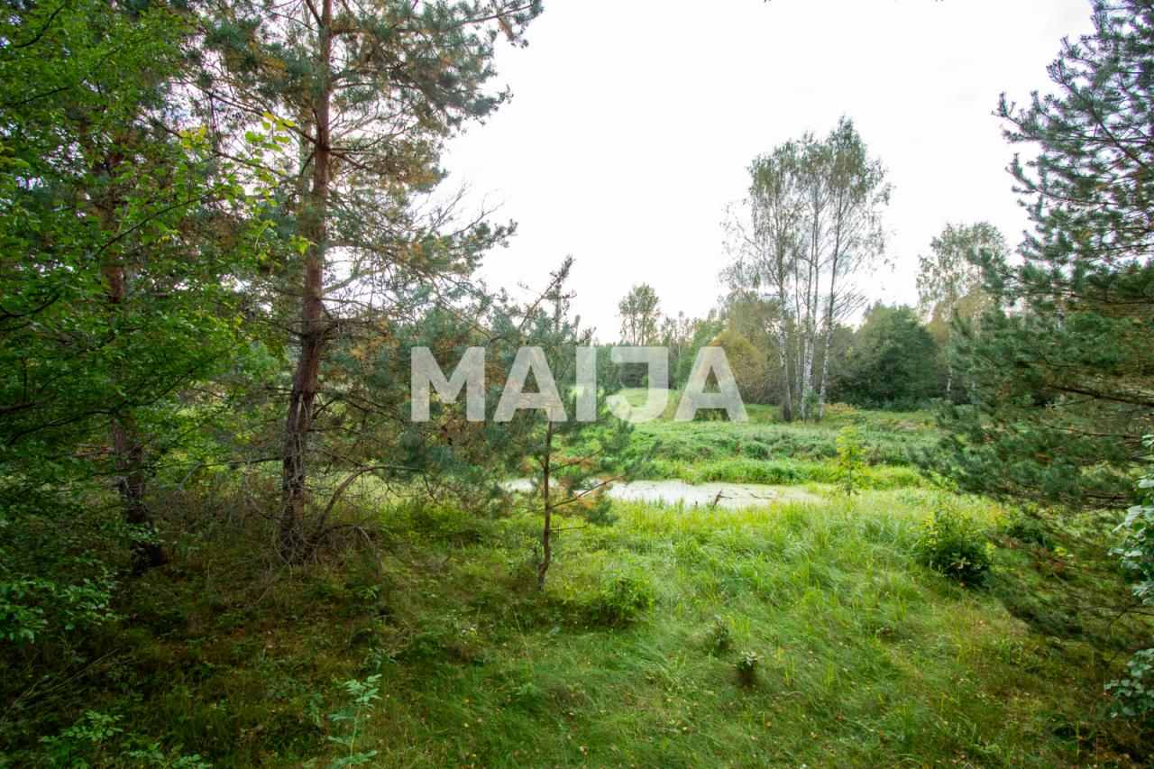 Земля Ilkene, Латвия, 17 400 м² - фото 3