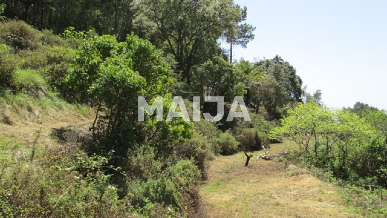 Земля Açor, Португалия, 16 440 м² - фото 3