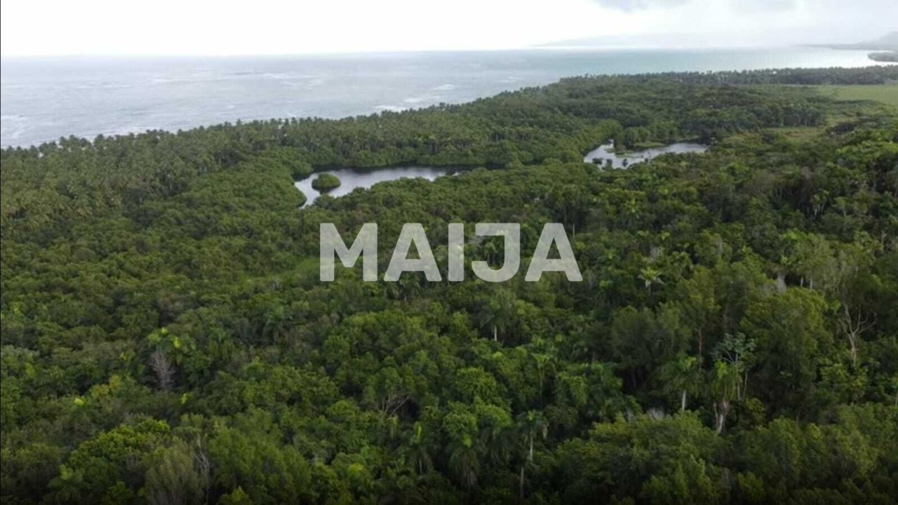 Земля в Гаспар Эрнандес, Доминиканская Республика, 1 900 000 м² - фото 3