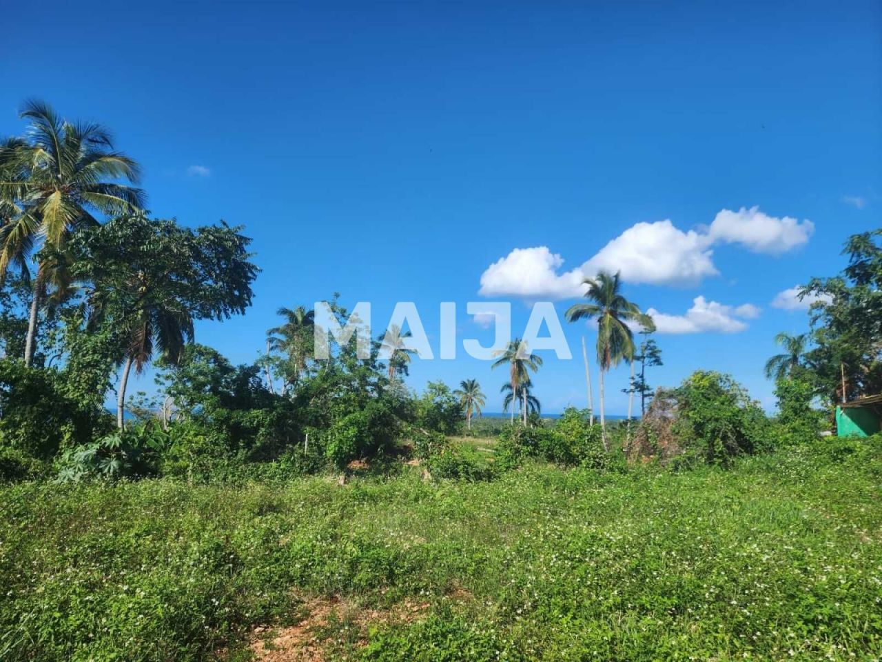 Земля в Лас Терренас, Доминиканская Республика, 3 860 м² - фото 3