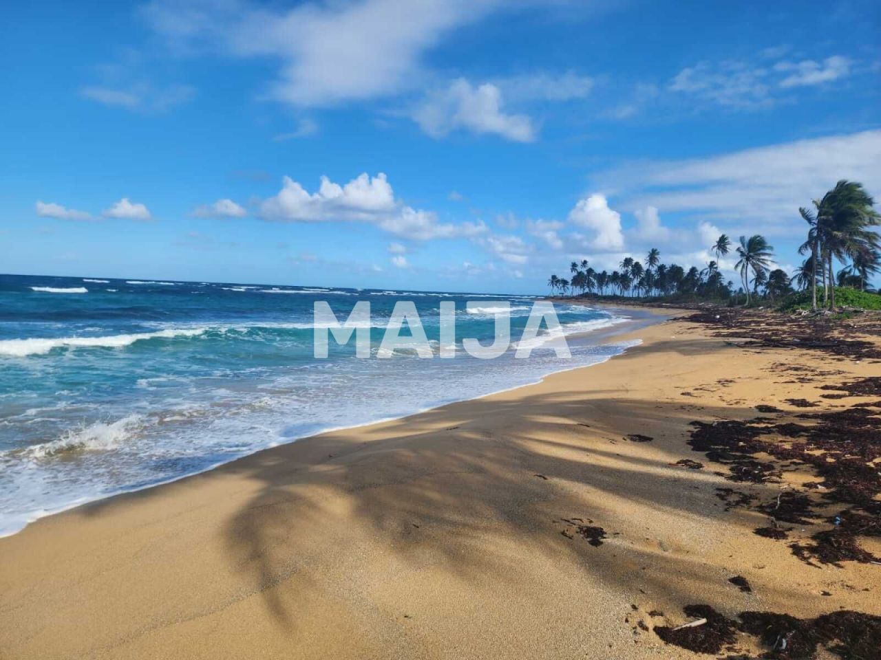 Земля в Пунта-Кана, Доминиканская Республика, 6 000 м² - фото 3