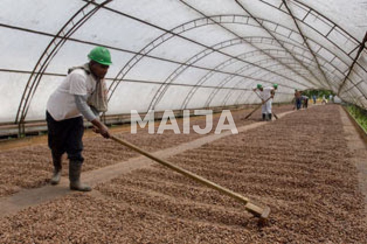 Производство в Гаспар Эрнандес, Доминиканская Республика, 4 340 000 м² - фото 4