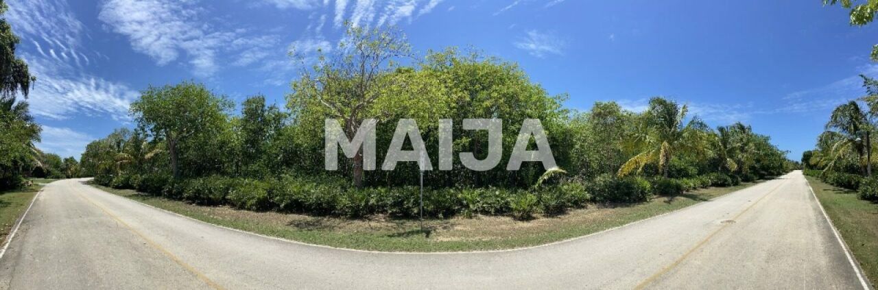 Земля в Пунта-Кана, Доминиканская Республика, 4 464 м² - фото 3