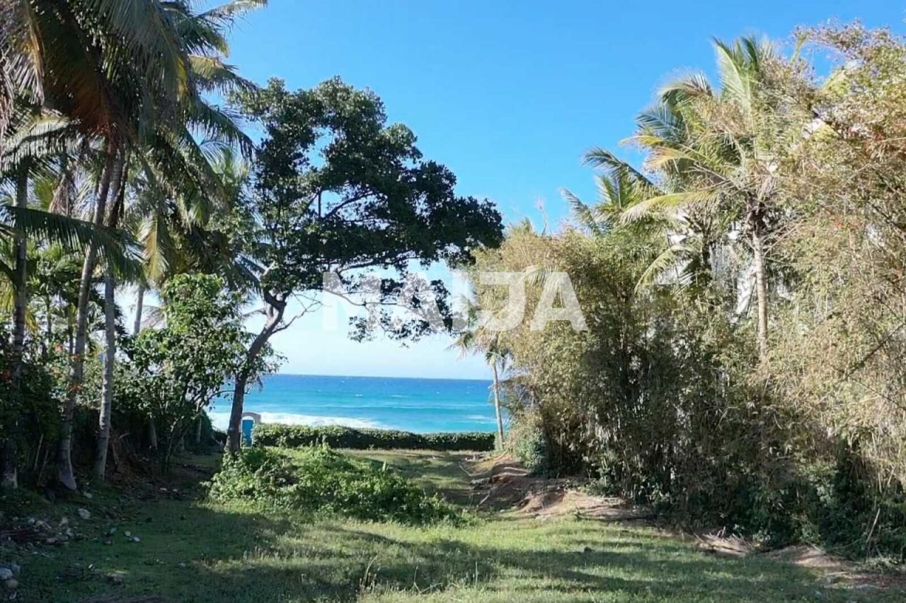 Земля в Сосуа, Доминиканская Республика, 1 895.79 м² - фото 4