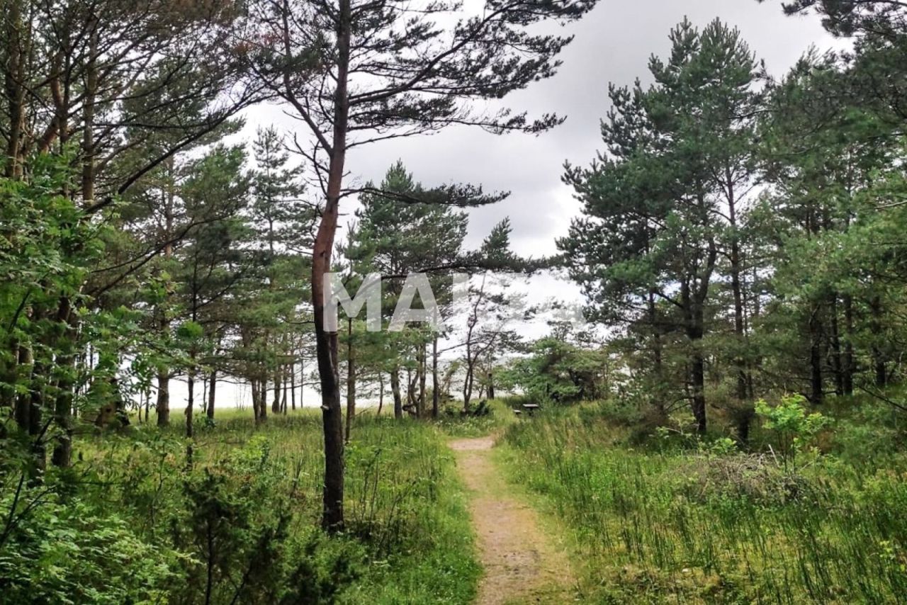 Земля Ziemupe, Латвия, 42 981 м² - фото 4