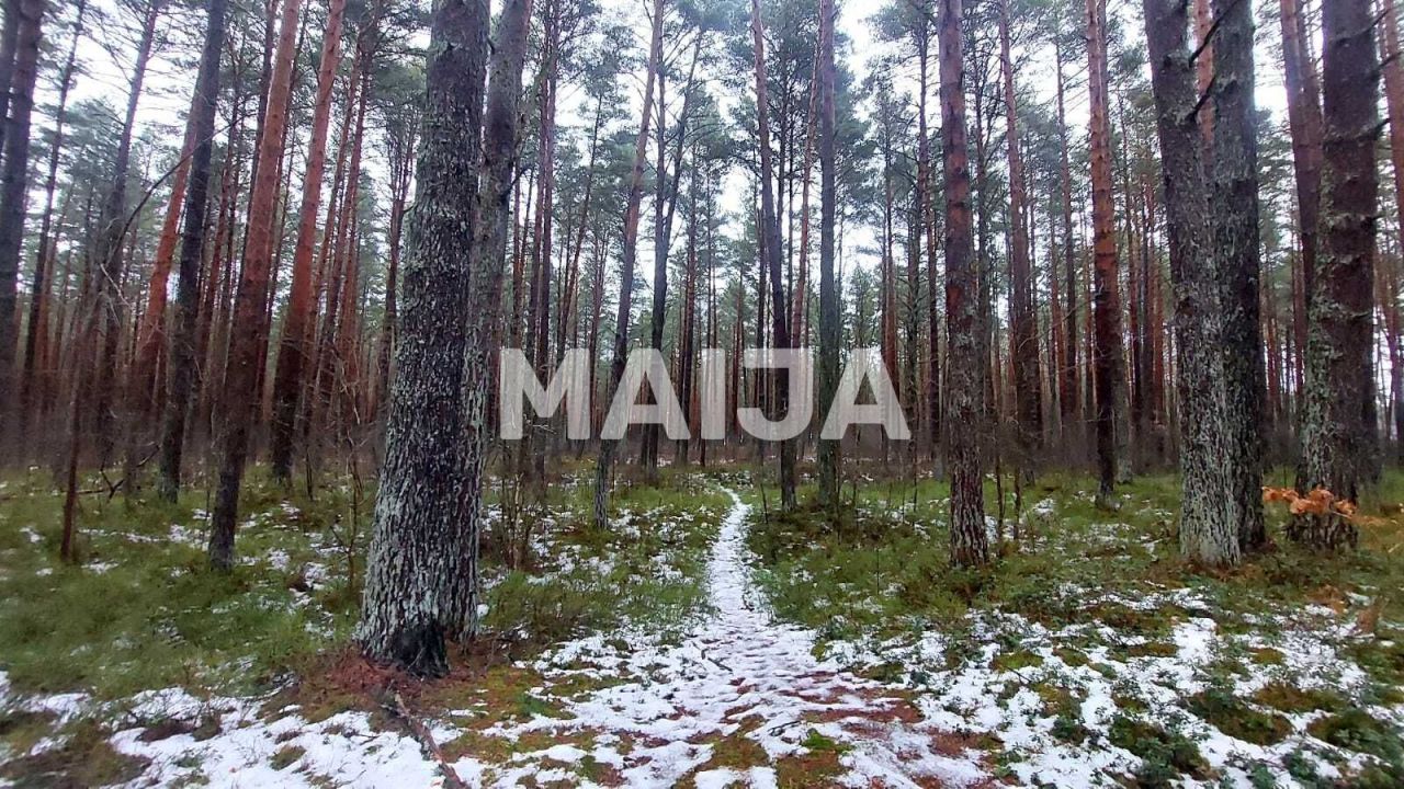 Земля Lapmezciems, Латвия, 5 570 м² - фото 4