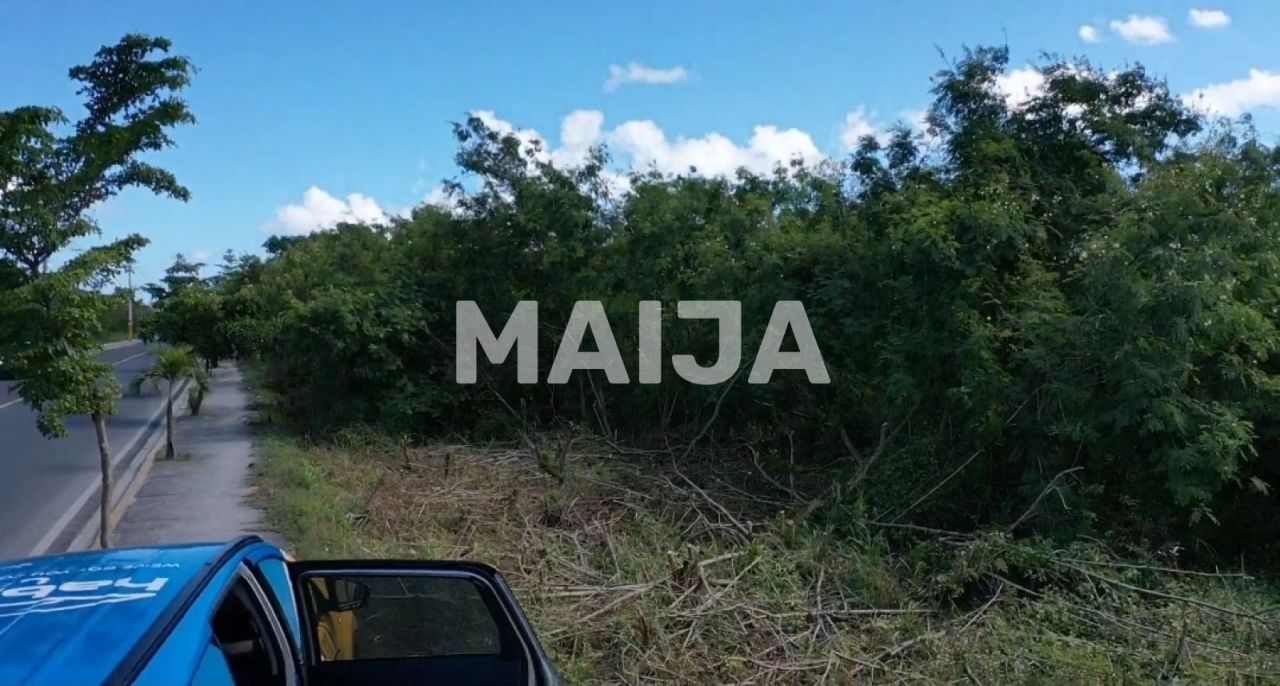 Земля в Пунта-Кана, Доминиканская Республика, 57 345.74 м² - фото 6