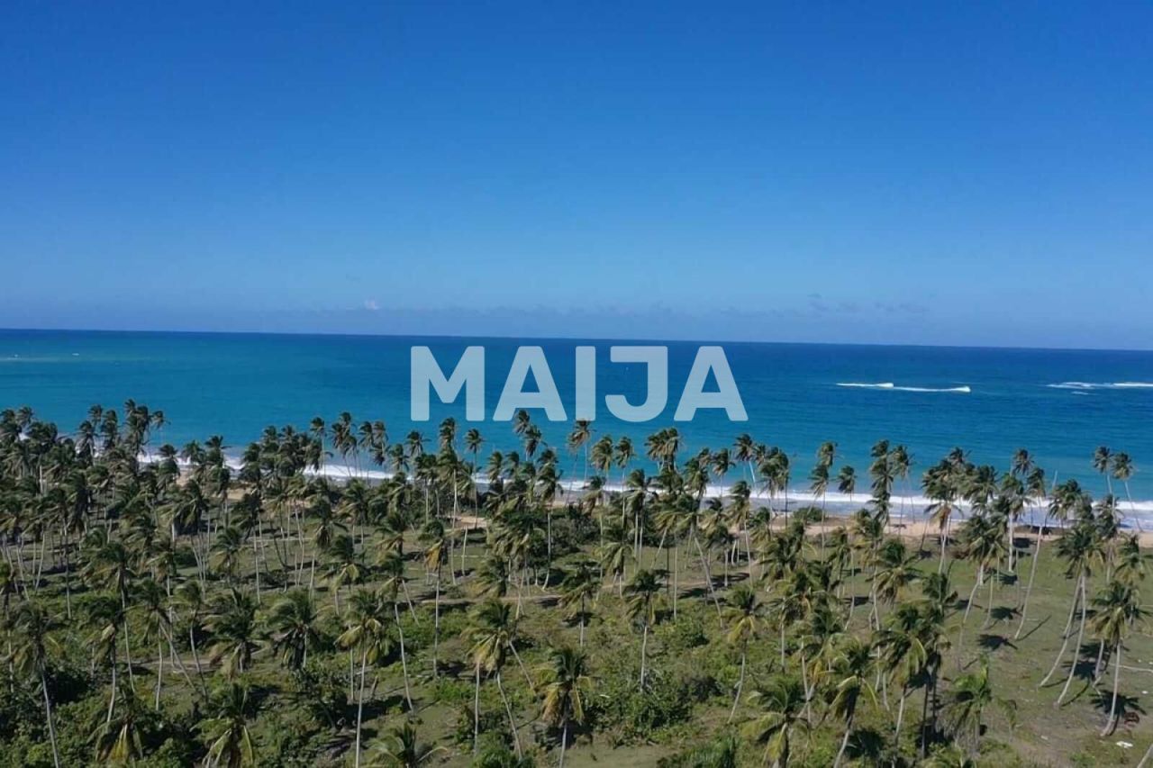 Земля El Cedro, Доминиканская Республика, 43 000 м² - фото 6