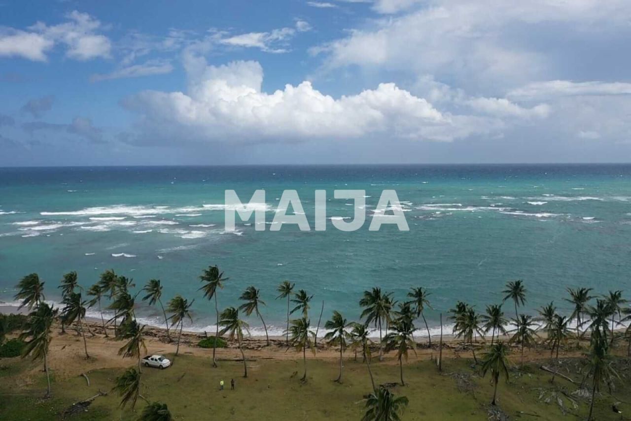 Земля El Cedro, Доминиканская Республика, 25 154.4 м² - фото 6