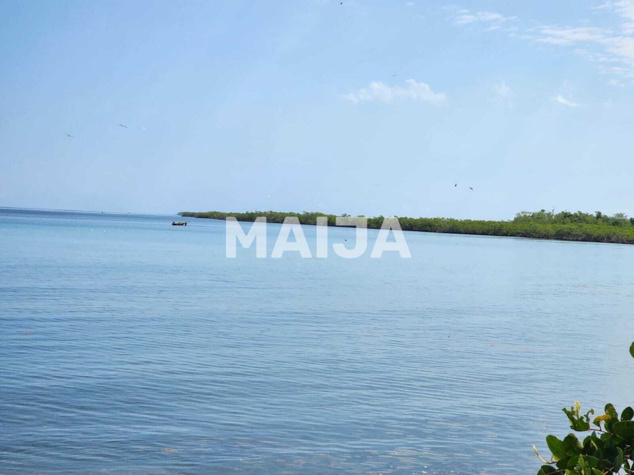 Земля в Мичесе, Доминиканская Республика, 7 058 000 м² - фото 6