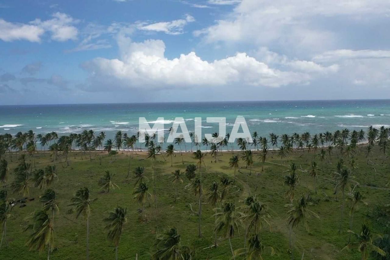 Земля El Cedro, Доминиканская Республика, 25 154.4 м² - фото 7