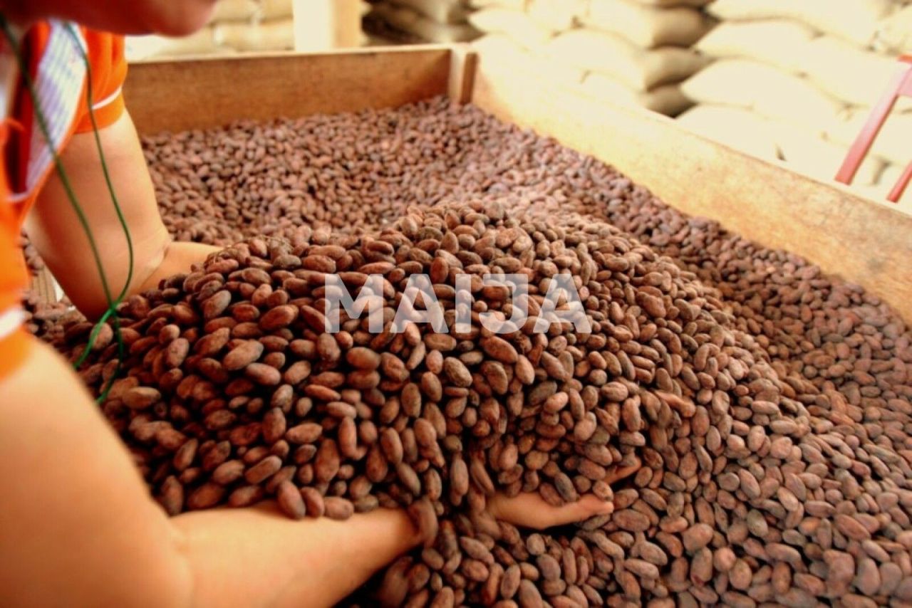 Производство в Гаспар Эрнандес, Доминиканская Республика, 4 340 000 м² - фото 8