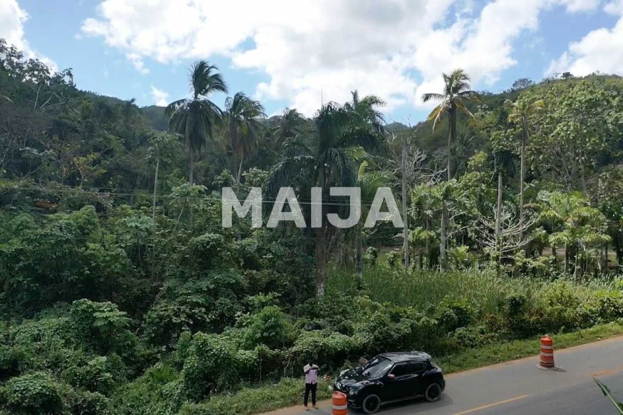 Земля в Лас Терренас, Доминиканская Республика, 10 000 м² - фото 8