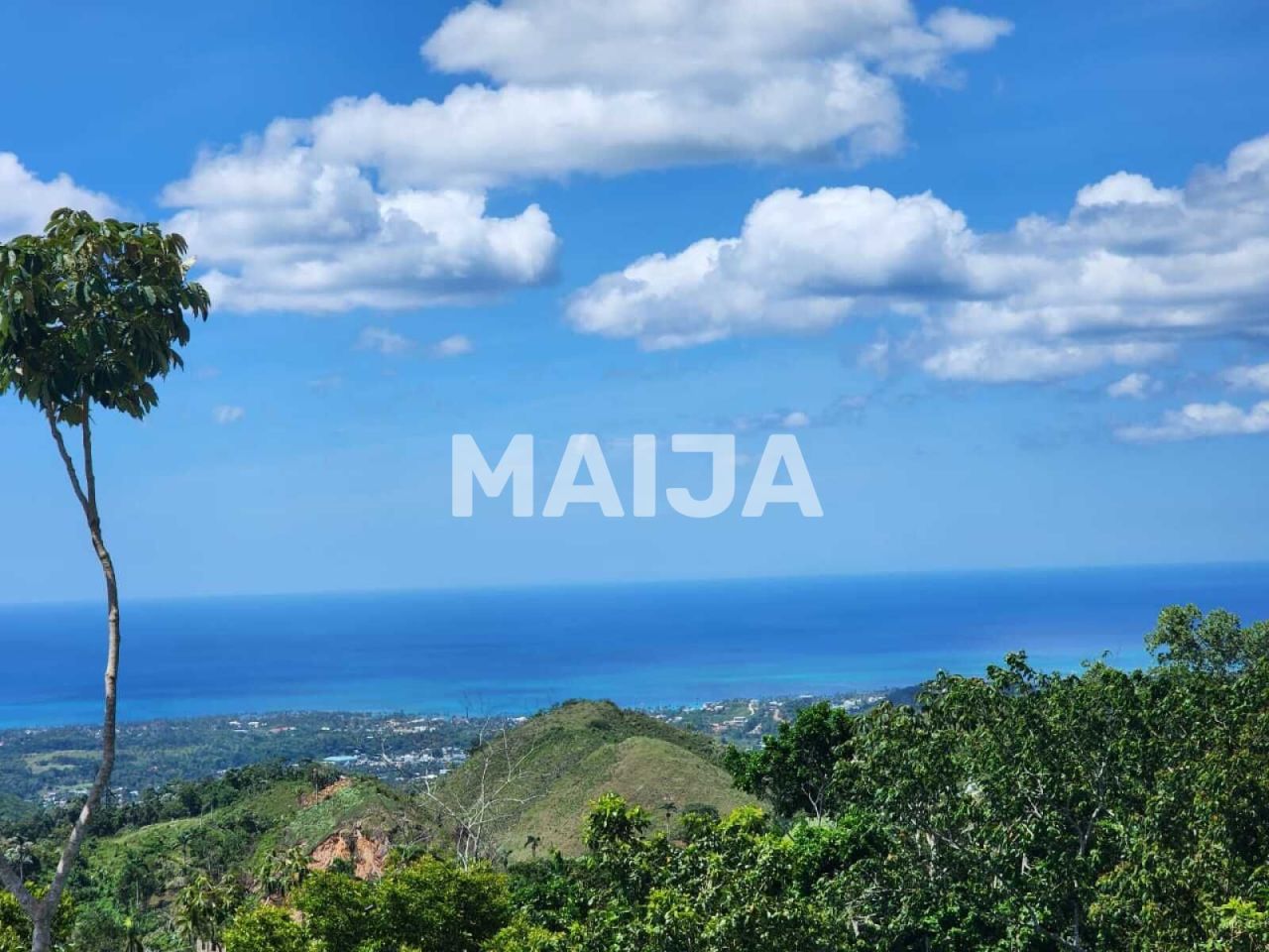 Земля в Лас Терренас, Доминиканская Республика, 3 341.1 м² - фото 8