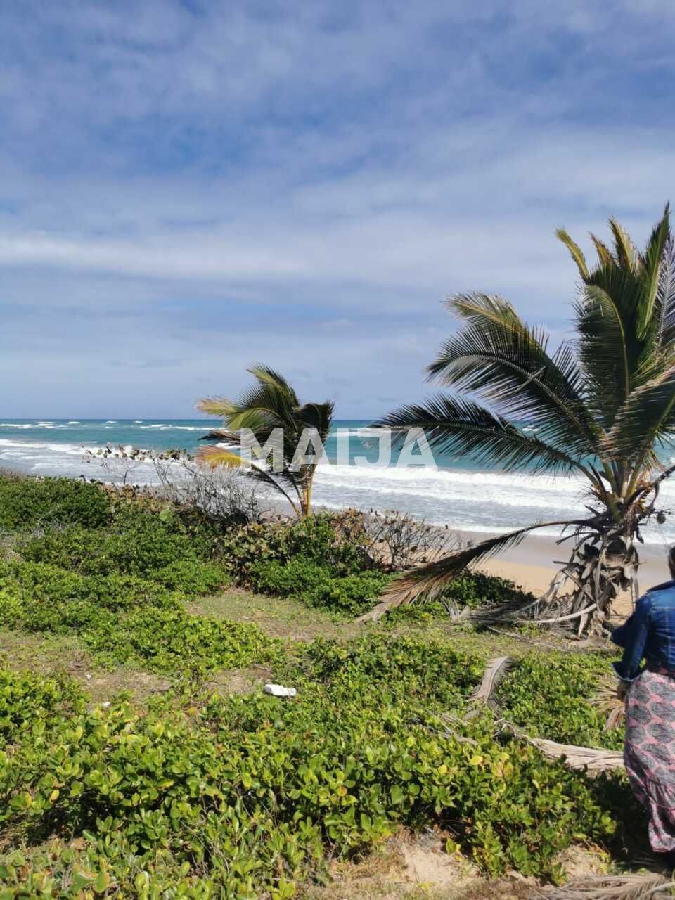 Земля в Пунта-Кана, Доминиканская Республика, 6 000 м² - фото 8