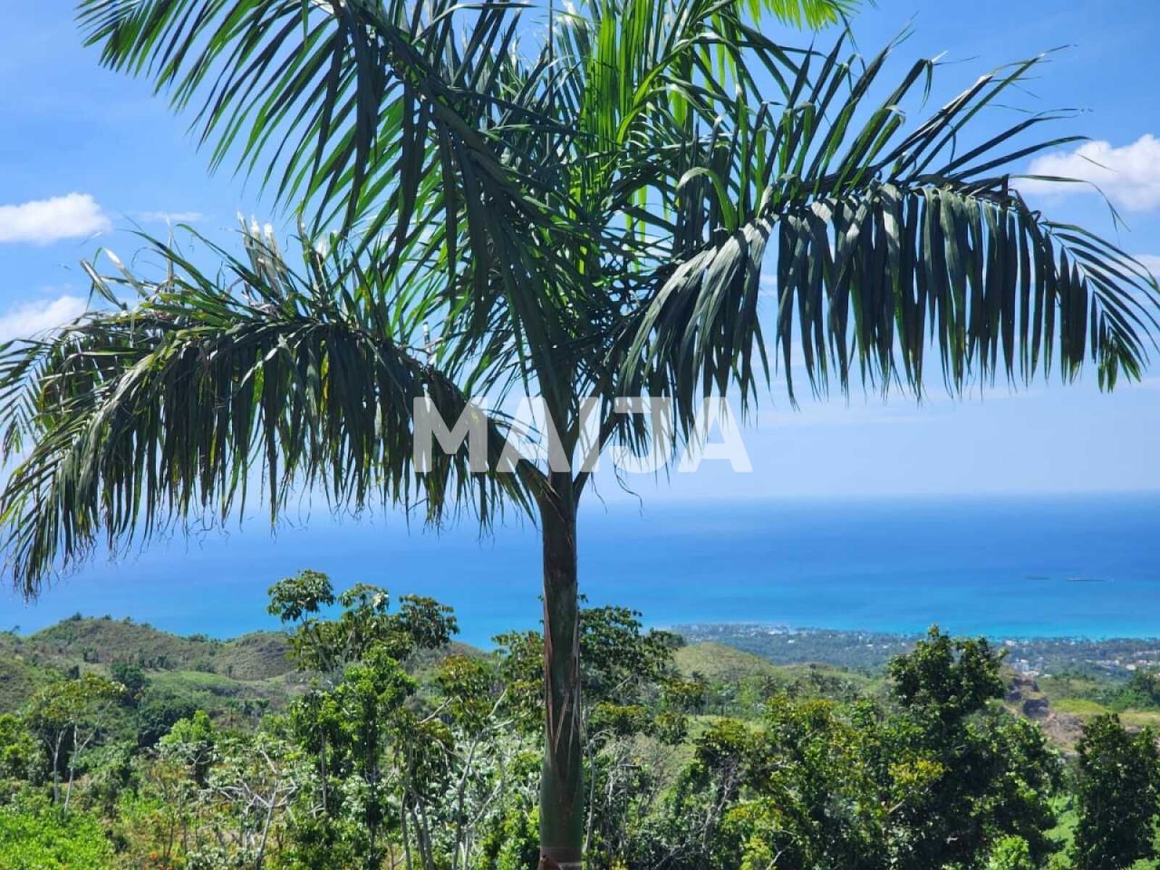 Земля в Лас Терренас, Доминиканская Республика, 981.21 м² - фото 8