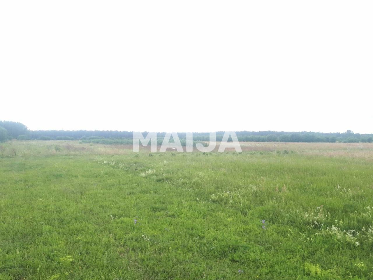 Земля в Яунмарупе, Латвия - фото 8