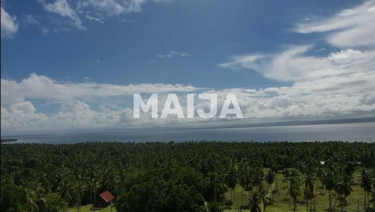 Земля в Самане, Доминиканская Республика, 140 200 м² - фото 8