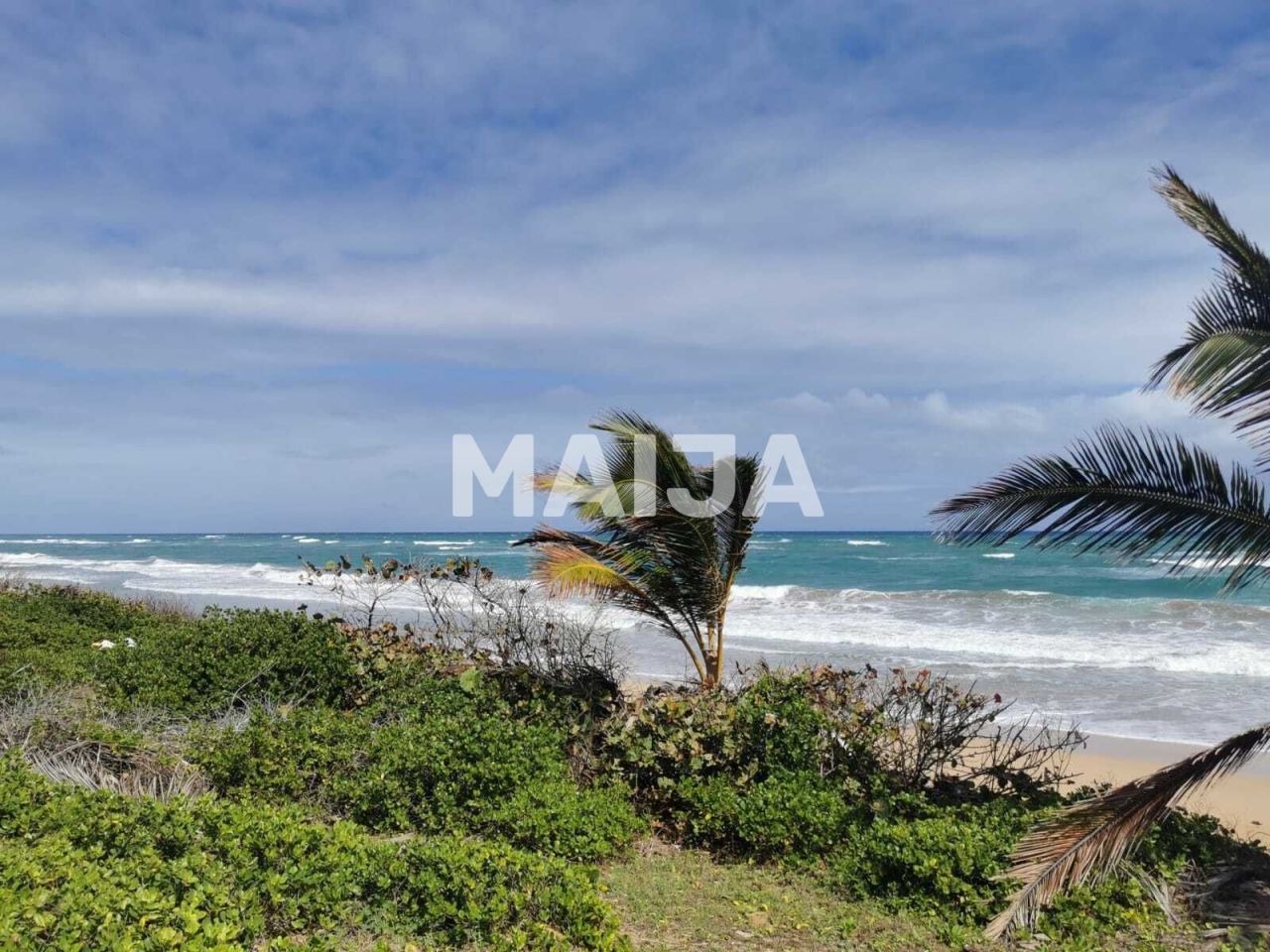 Земля в Пунта-Кана, Доминиканская Республика, 6 000 м² - фото 9