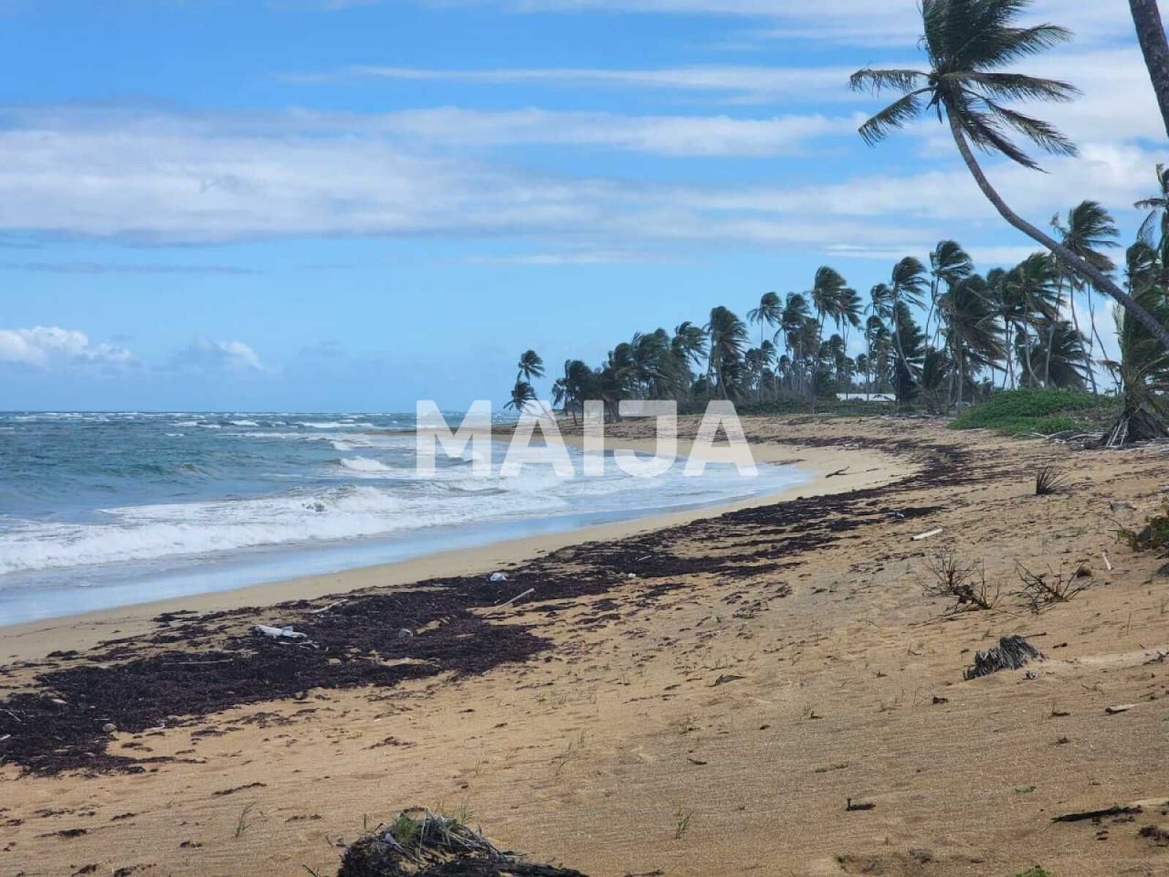 Земля El Cedro, Доминиканская Республика, 5 630 м² - фото 9