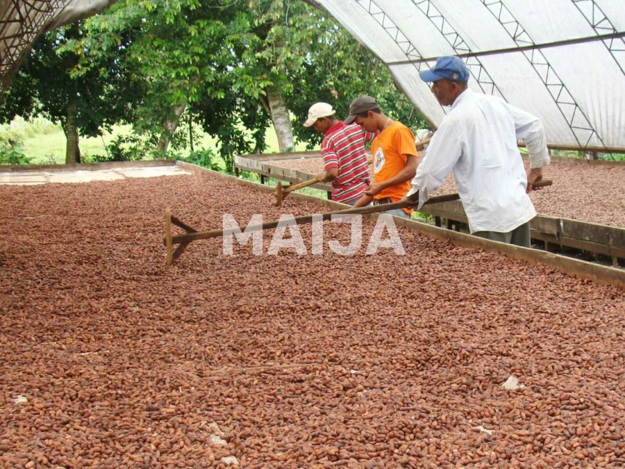 Производство в Гаспар Эрнандес, Доминиканская Республика, 4 340 000 м² - фото 10