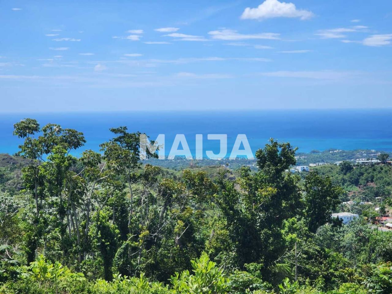 Земля в Лас Терренас, Доминиканская Республика, 3 341.1 м² - фото 10