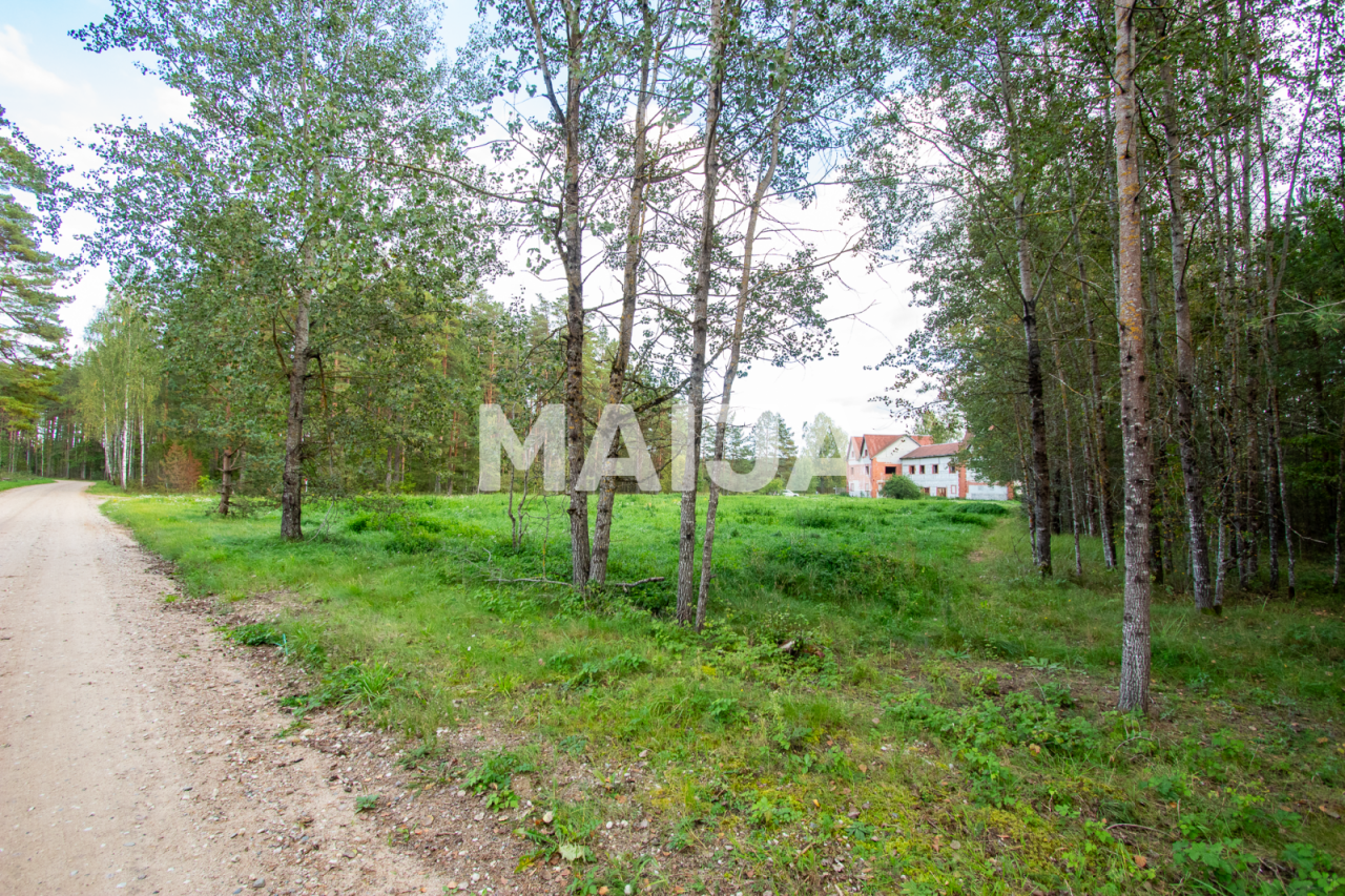 Земля Ilkene, Латвия, 17 400 м² - фото 9