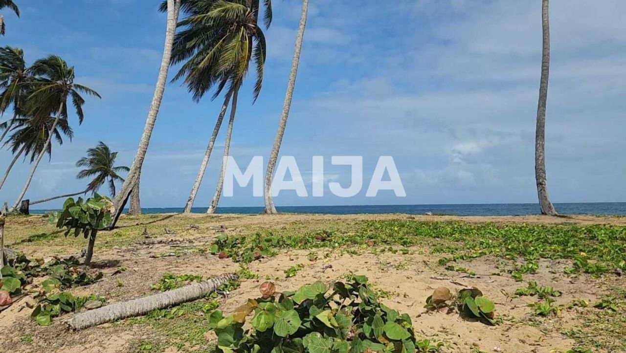 Земля El Cedro, Доминиканская Республика, 5 630 м² - фото 10