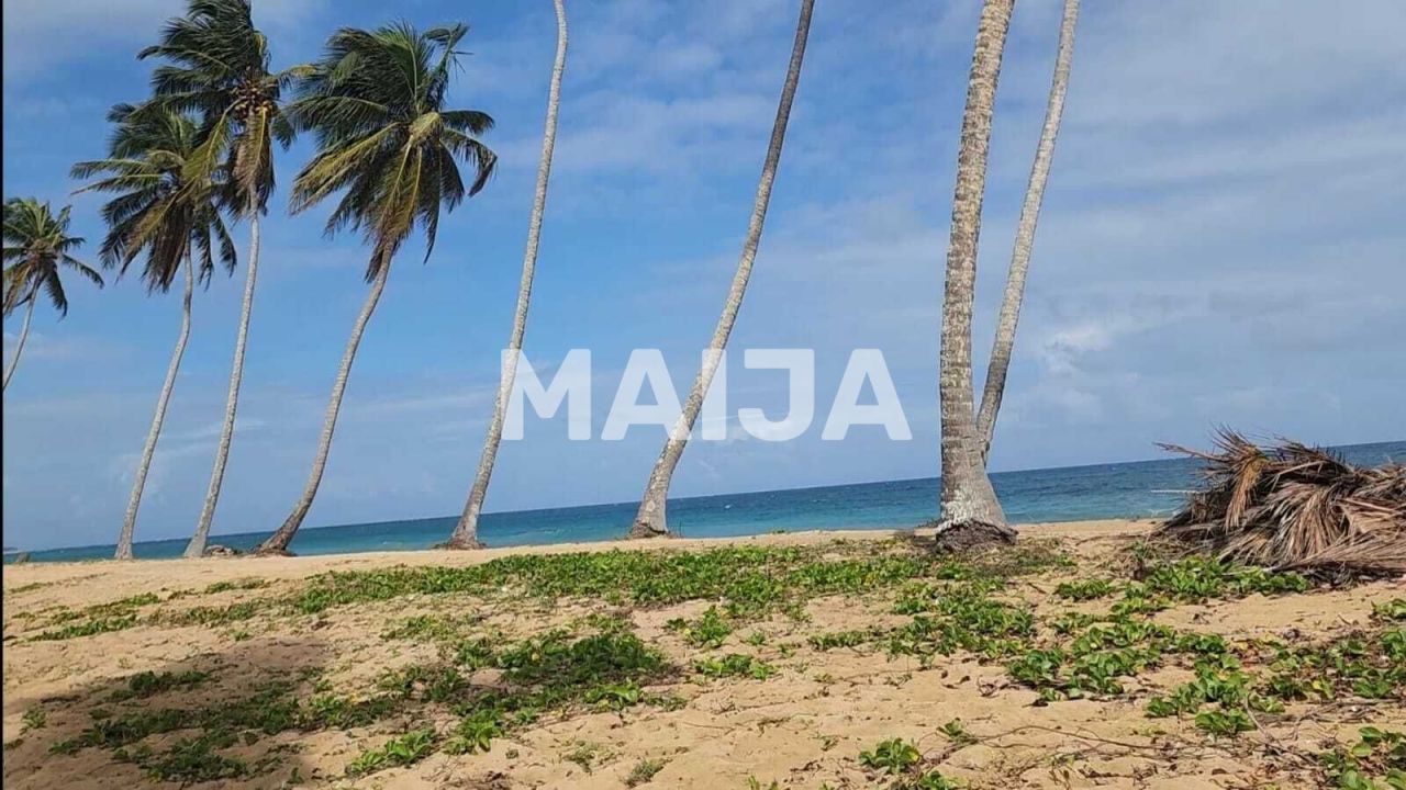 Земля El Cedro, Доминиканская Республика, 5 630 м² - фото 11