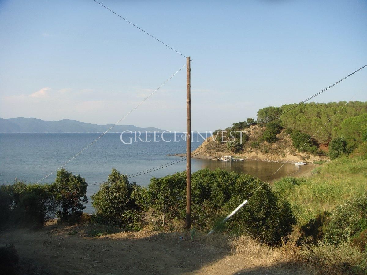 Земля на Халкидиках, Греция, 16 000 м² - фото 1
