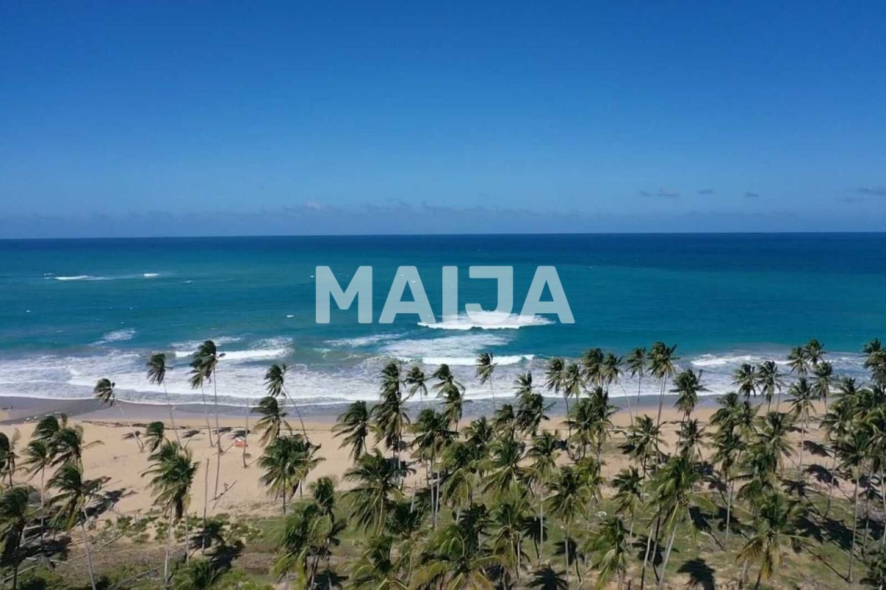 Земля El Cedro, Доминиканская Республика, 43 000 м² - фото 12