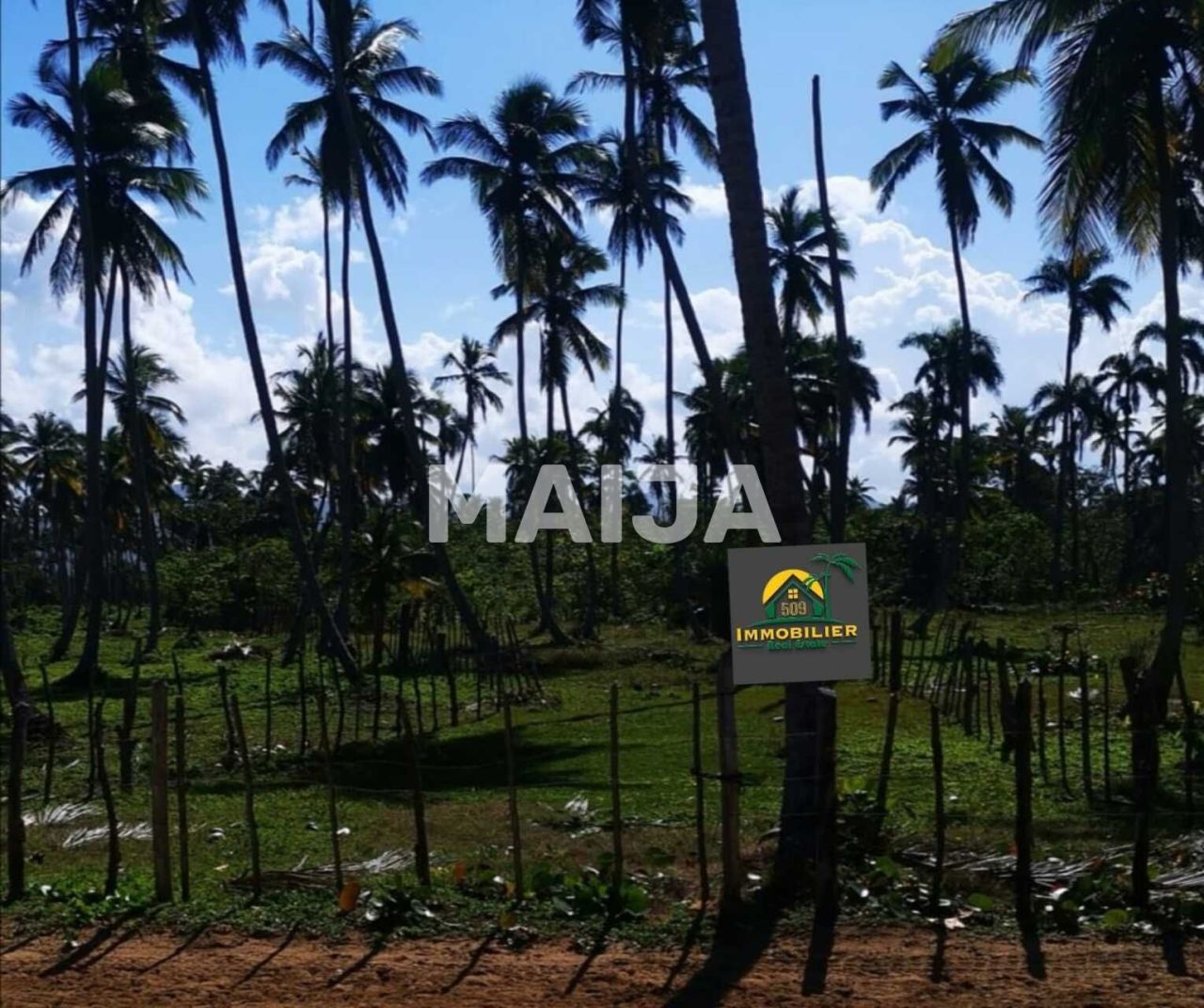 Земля El Cedro, Доминиканская Республика, 5 630 м² - фото 13