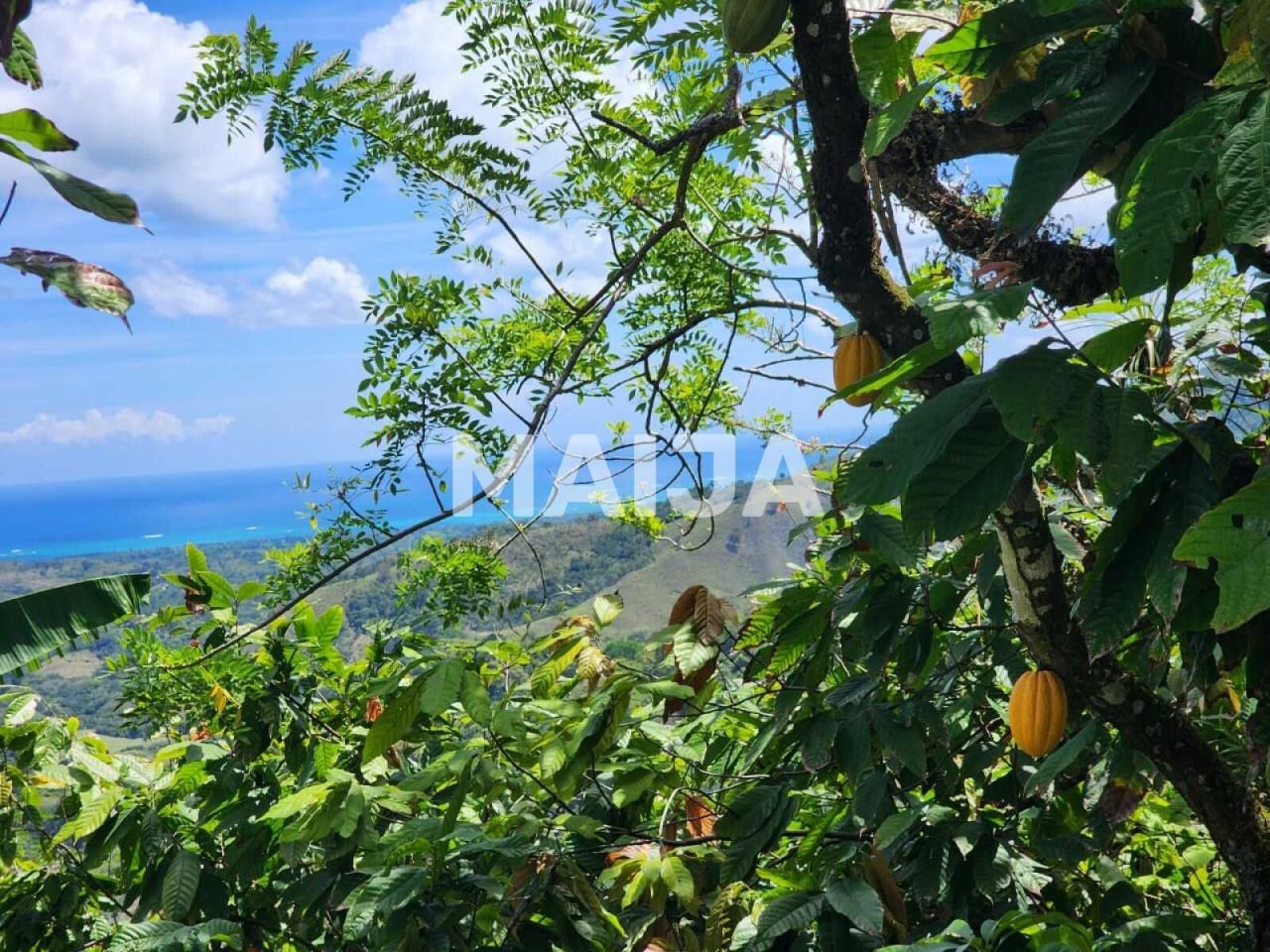 Производство в Гаспар Эрнандес, Доминиканская Республика, 4 340 000 м² - фото 15