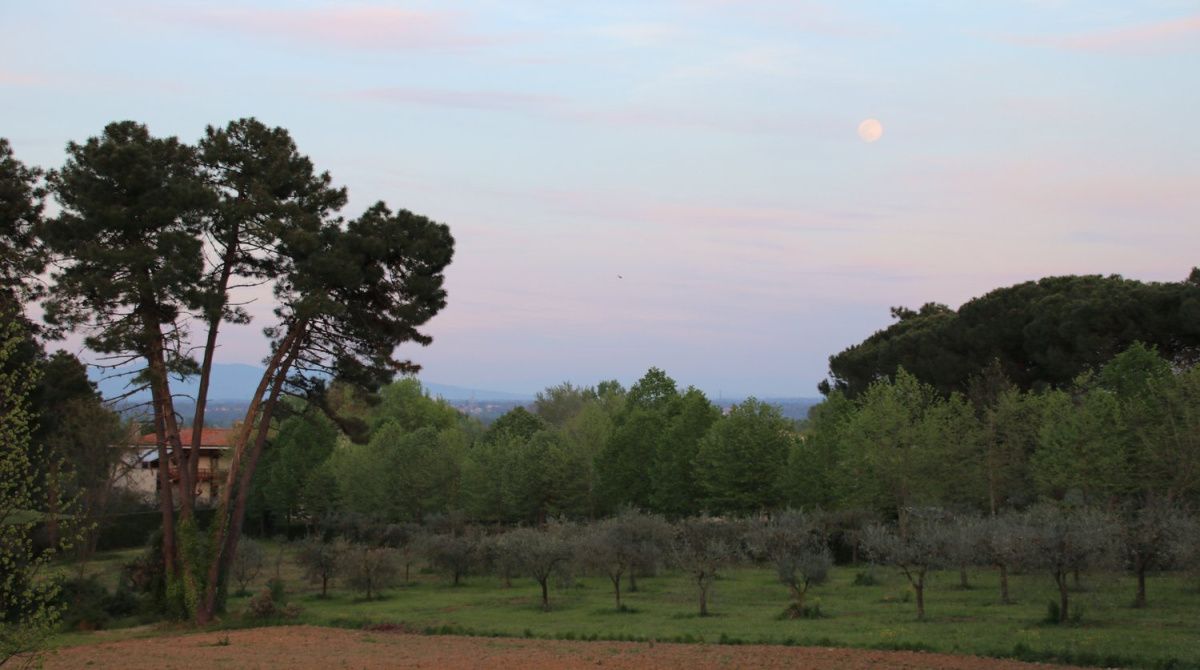 Дом в Лукке, Италия, 1 830 м² - фото 13