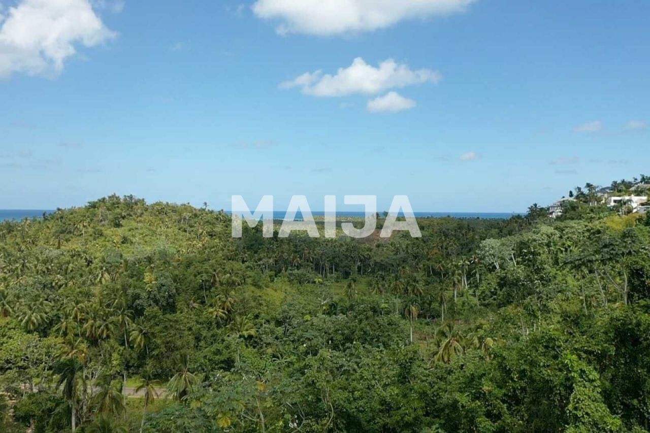 Земля в Лас Терренас, Доминиканская Республика, 10 000 м² - фото 15