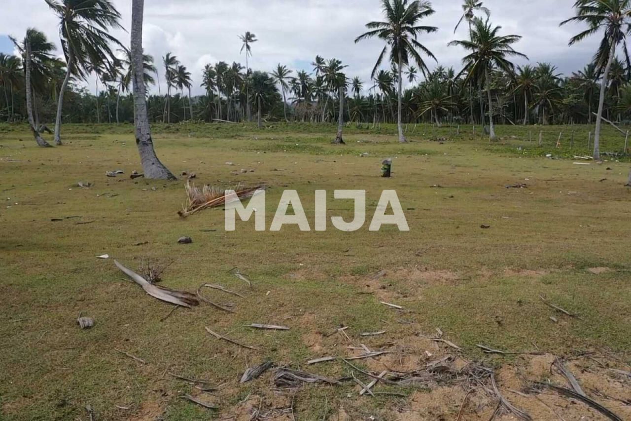 Земля El Cedro, Доминиканская Республика, 25 154.4 м² - фото 15