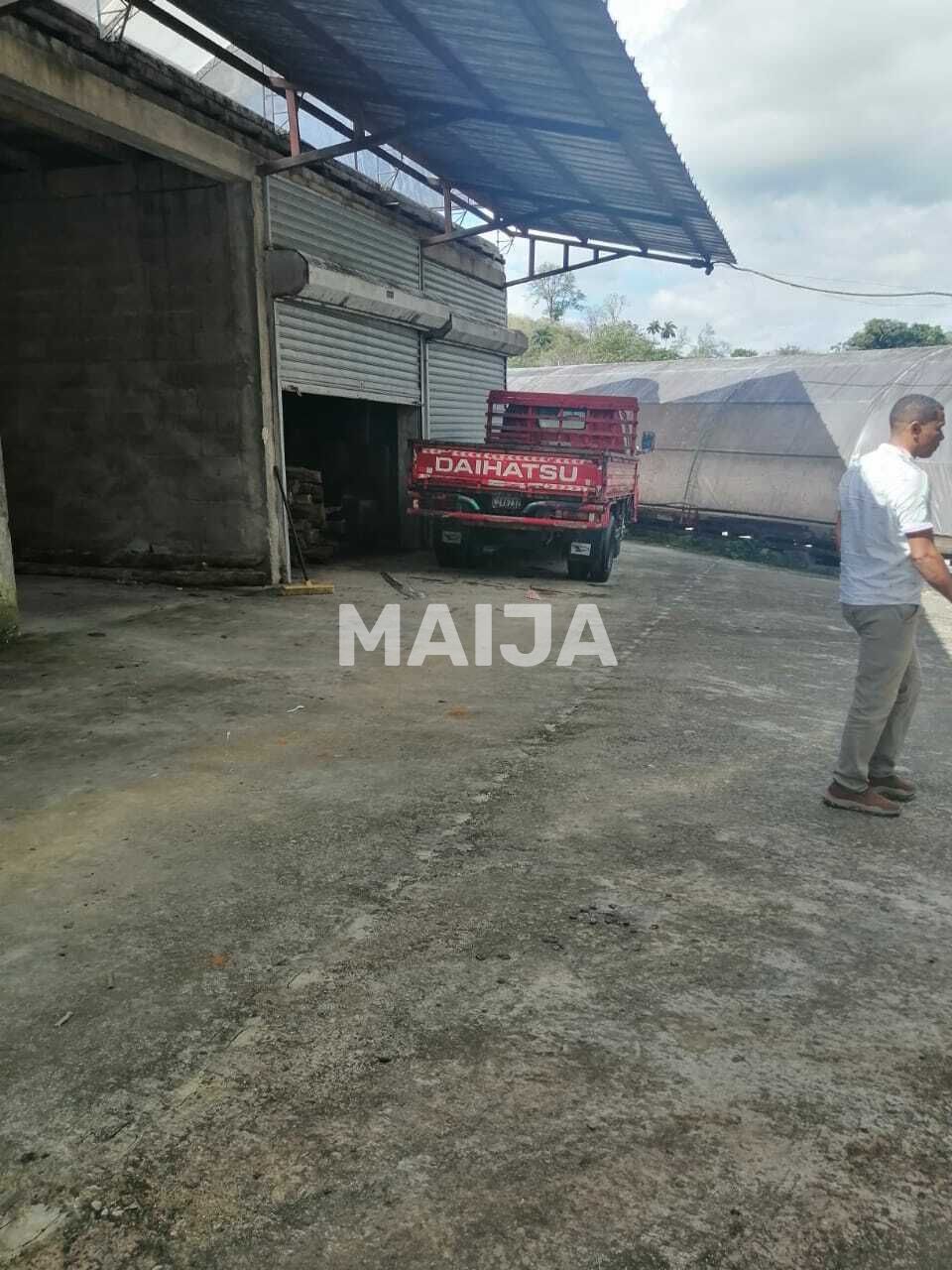 Производство в Гаспар Эрнандес, Доминиканская Республика, 4 340 000 м² - фото 16