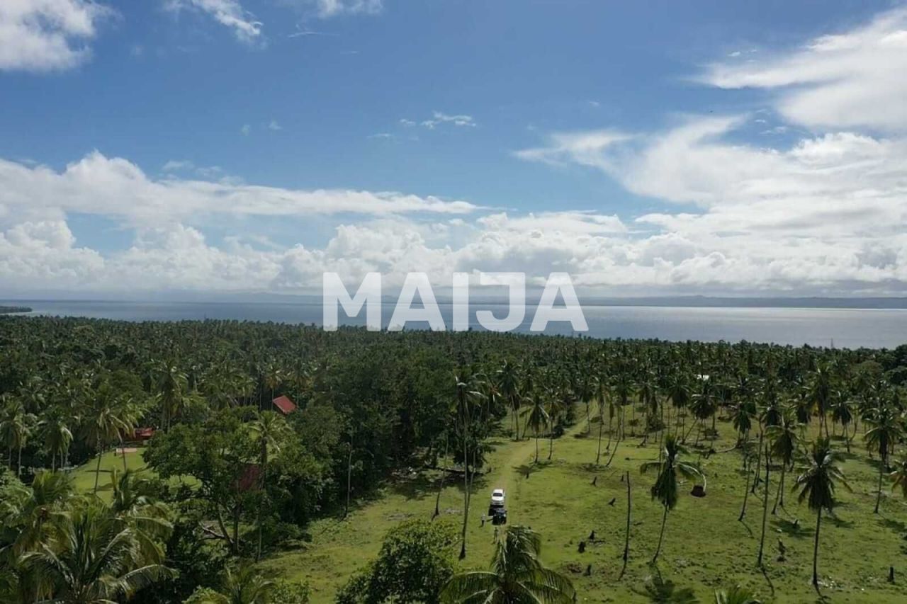 Земля в Самане, Доминиканская Республика, 140 200 м² - фото 15