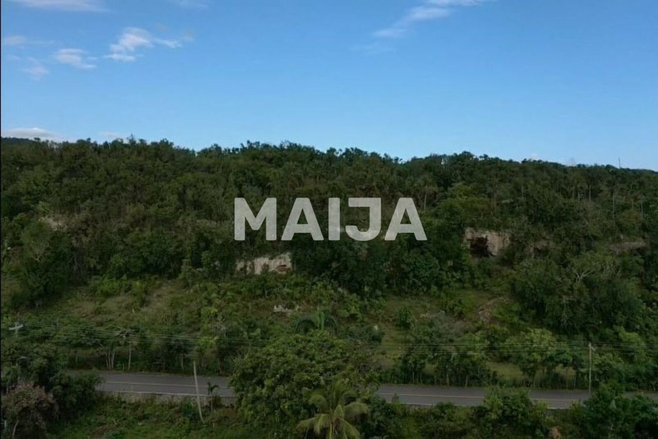 Земля в Самане, Доминиканская Республика, 17 000 м² - фото 17