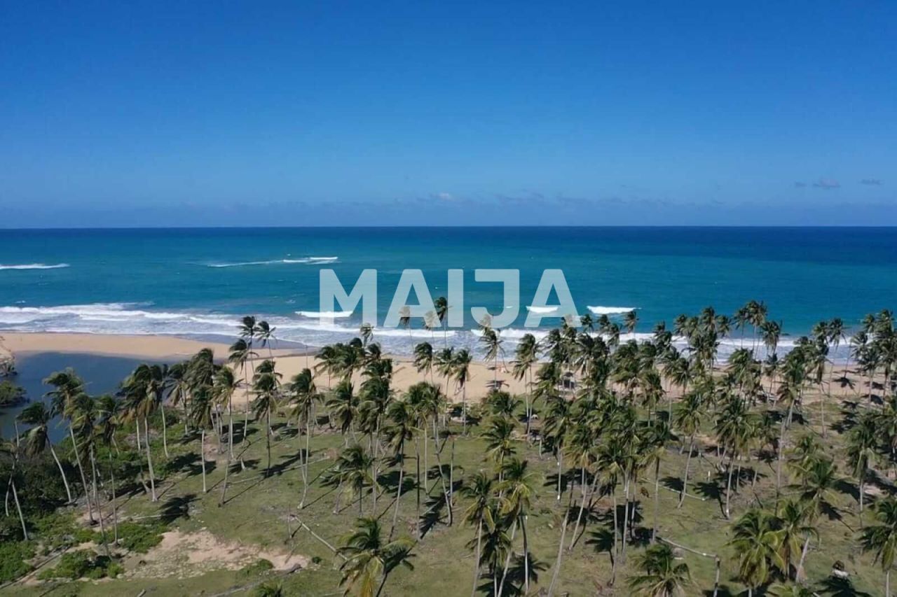 Земля El Cedro, Доминиканская Республика, 43 000 м² - фото 17