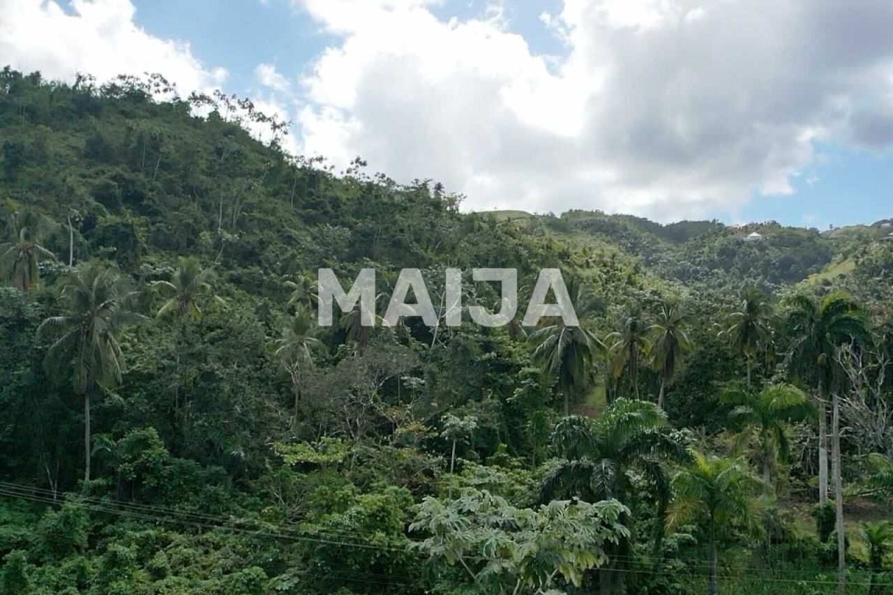 Земля в Лас Терренас, Доминиканская Республика, 10 000 м² - фото 18