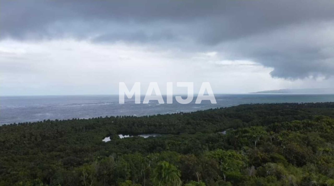 Земля в Гаспар Эрнандес, Доминиканская Республика, 1 900 000 м² - фото 17