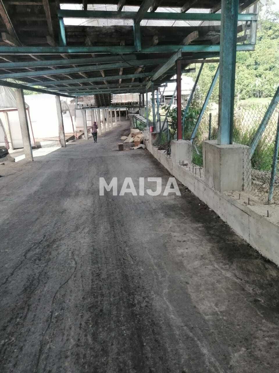 Производство в Гаспар Эрнандес, Доминиканская Республика, 4 340 000 м² - фото 19