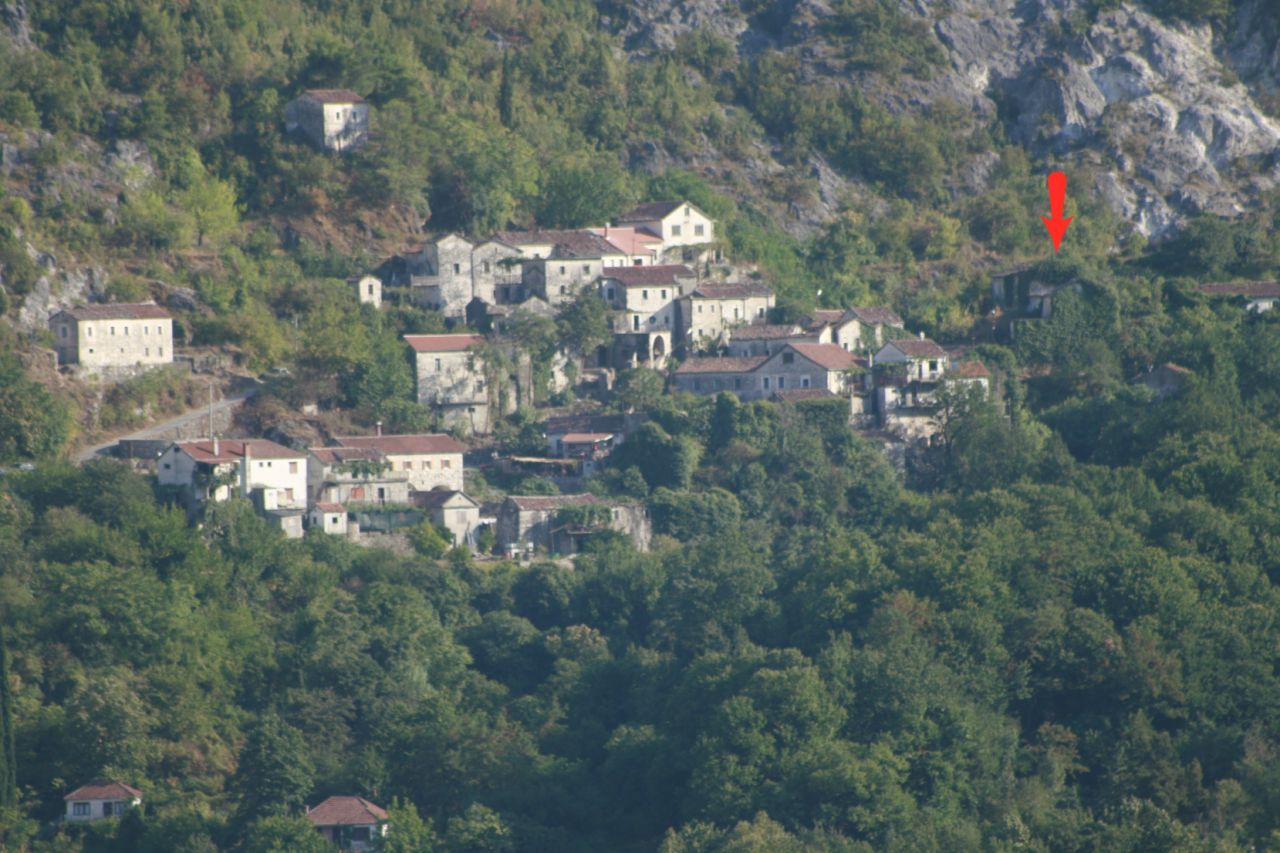 Дом на Скадарском озере, Черногория, 60 м² - фото 2