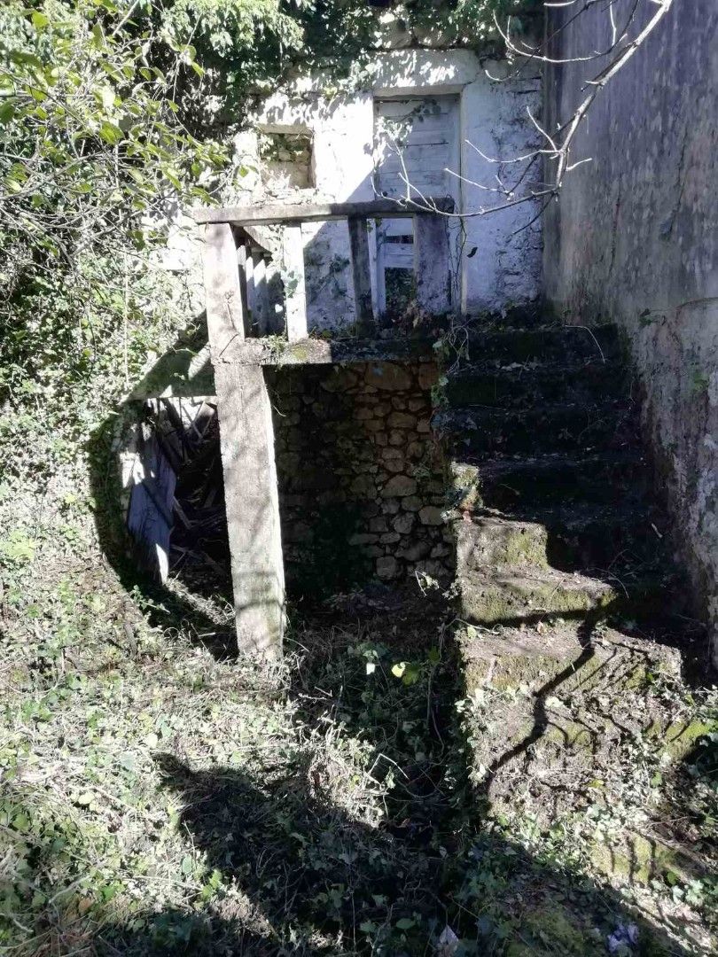 Дом на Скадарском озере, Черногория, 60 м² - фото 3