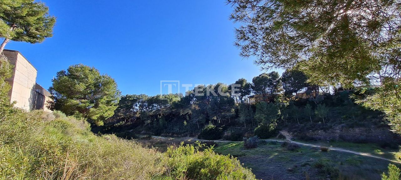 Вилла в Пилар-де-ла-Орадада, Испания, 191 м² - фото 8