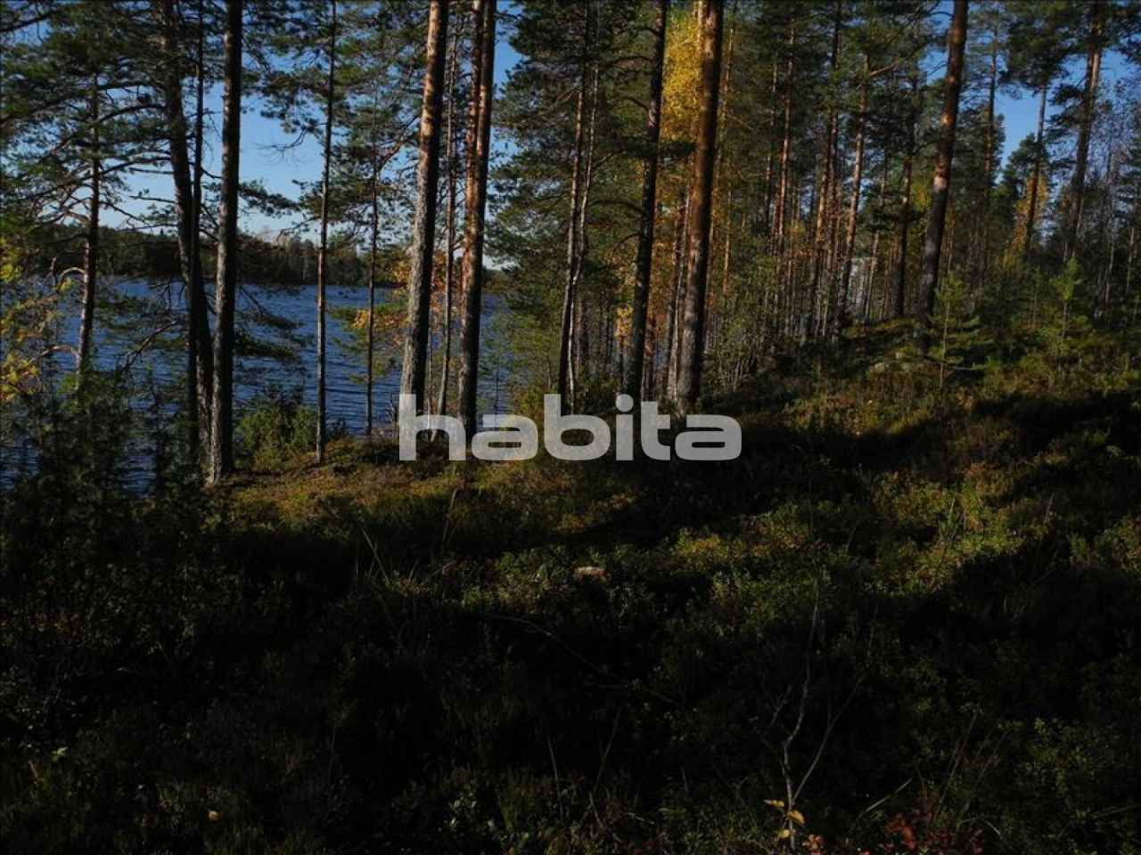 Земля в Хейнявеси, Финляндия, 10 000 м2 - фото 1