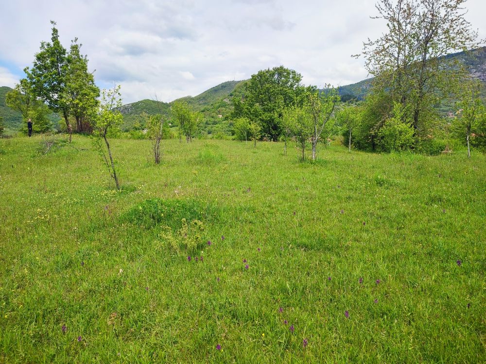 Дом в Никшиче, Черногория, 77 м² - фото 7